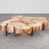 American Elm Crosscut Coffee Table