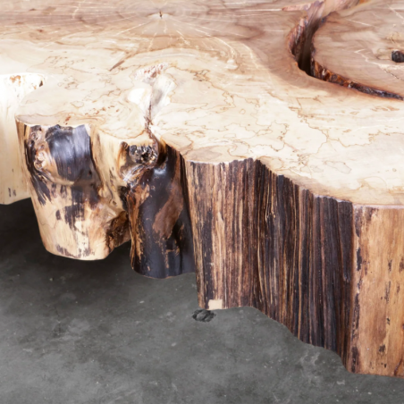 American Elm Crosscut Coffee Table