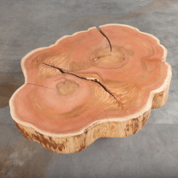 American Elm Crosscut Coffee Table