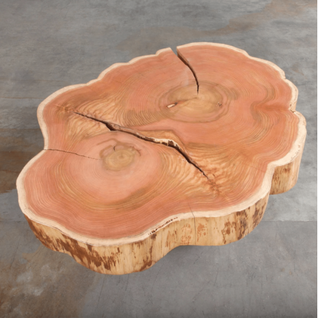 American Elm Crosscut Coffee Table