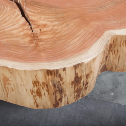 American Elm Crosscut Coffee Table