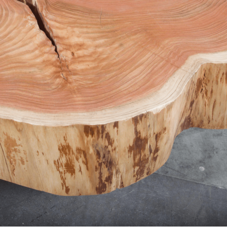 American Elm Crosscut Coffee Table